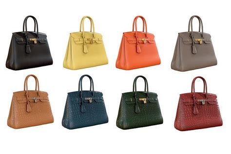 hermes birkin model|the hermes birkin.